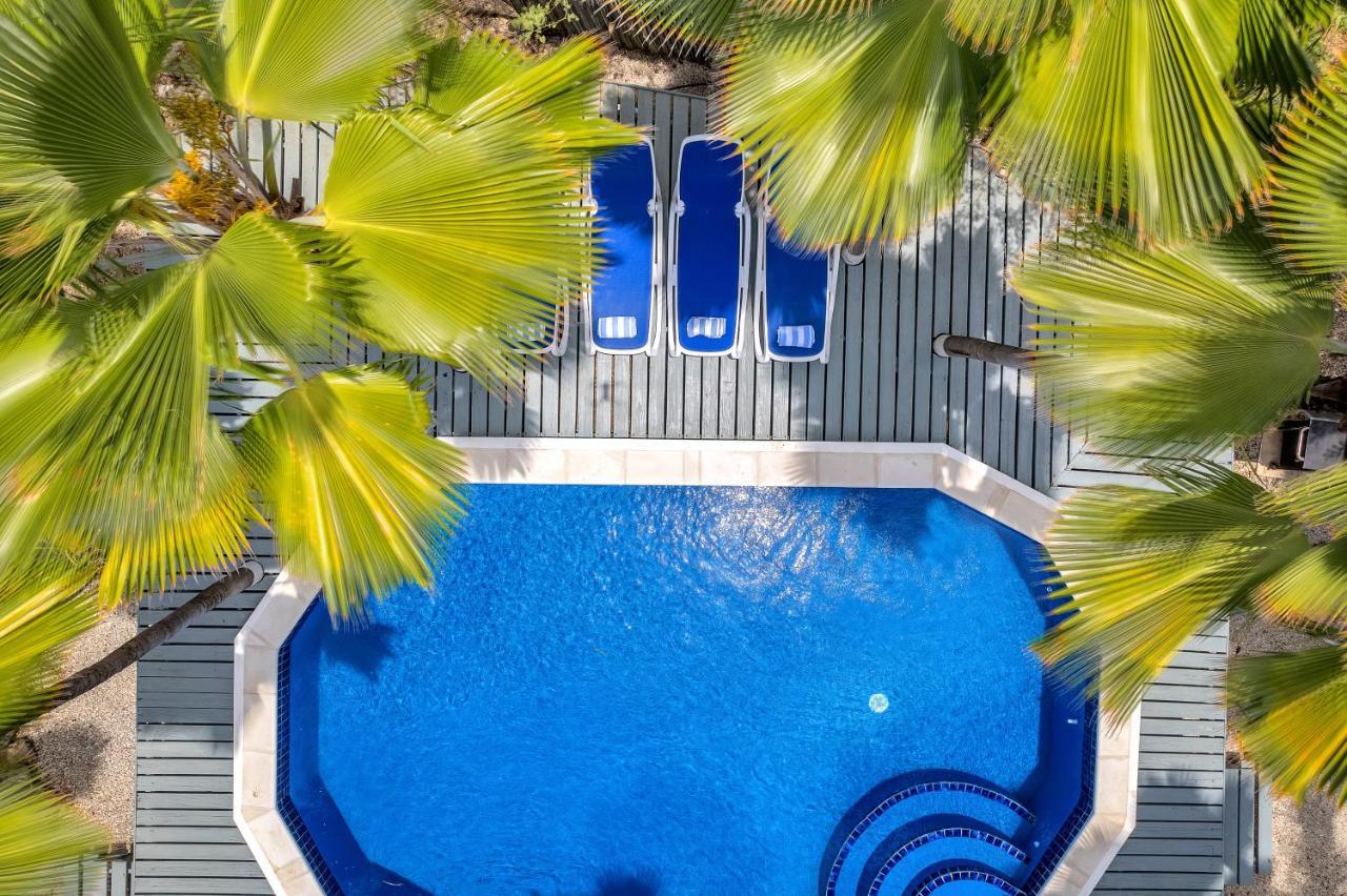 Tropical Divers Resort Kralendijk Dış mekan fotoğraf