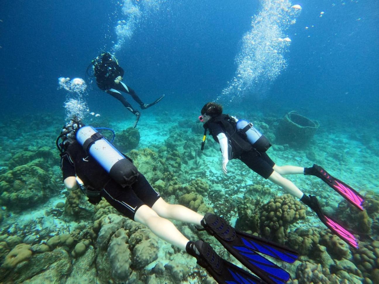 Tropical Divers Resort Kralendijk Dış mekan fotoğraf