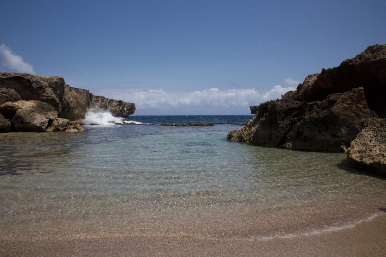 Tropical Divers Resort Kralendijk Dış mekan fotoğraf